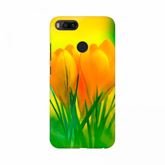 Yellow Crocus Flowers Wallpapers Mobile Case Cover