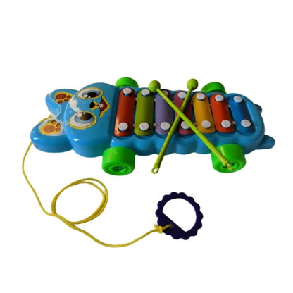 Xylophone | Plastic | Toys | 5+ Years