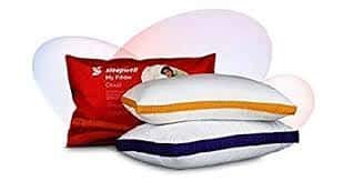 Seasons Microfibre Pillow, Pack of 2, Multicolour